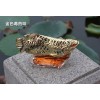 高檔汽車招財(cái)金龍魚香水座 車載香薰座香水瓶創(chuàng)意車用擺件車飾品