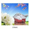 空軍戰(zhàn)機