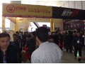 第十三屆中國（臨沂）汽車用品交易會(huì) (12)