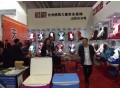 第十三屆中國(guó)（臨沂）汽車用品交易會(huì) (13)