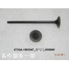 473QA-1003047_進(jìn)氣門_M00000