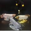 大號(hào)金龍魚(yú)