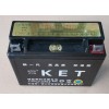 免維護(hù)蓄電池